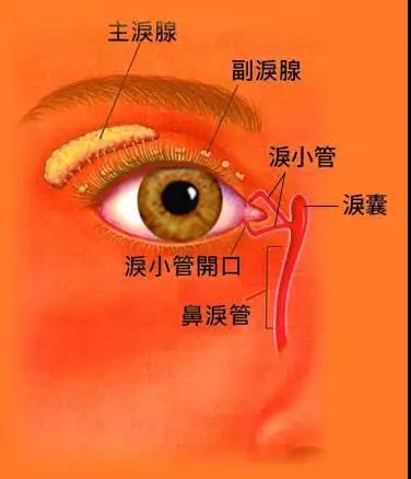 眼眶病,希瑪瑞視眼科,上海眼科醫(yī)院 眼眶病,希瑪瑞視眼科,上海眼科醫(yī)院