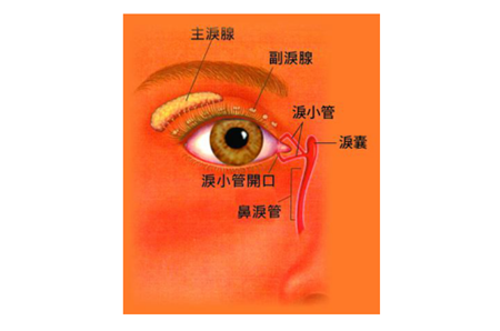 眼眶病,希瑪瑞視眼科,上海眼科醫院 眼眶病,希瑪瑞視眼科,上海眼科醫院