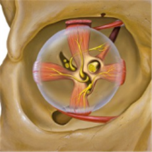 小兒眼病,希瑪瑞視眼科,上海眼科醫院 小兒眼病,希瑪瑞視眼科,上海眼科醫院