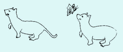 小兒眼病,希瑪瑞視眼科,上海眼科醫院