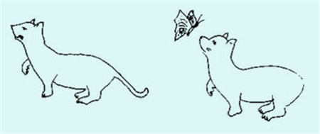 小兒眼病,希瑪瑞視眼科,上海眼科醫院