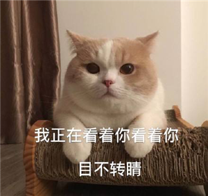 小兒眼病,希瑪瑞視眼科,上海眼科醫(yī)院 小兒眼病,希瑪瑞視眼科,上海眼科醫(yī)院