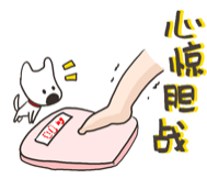 眼表眼角膜,?，斎鹨曆劭?上海眼科醫(yī)院