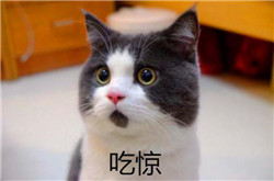 青光眼,希瑪瑞視眼科,上海眼科醫(yī)院 青光眼,希瑪瑞視眼科,上海眼科醫(yī)院