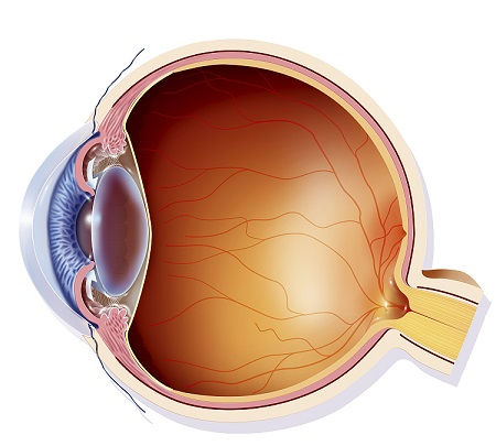 青光眼,?，斎鹨曆劭?上海眼科醫院