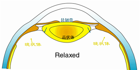 小兒眼病,希瑪瑞視眼科,上海眼科醫院 小兒眼病,希瑪瑞視眼科,上海眼科醫院