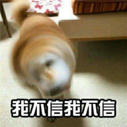 玻璃體視網(wǎng)膜,希瑪瑞視眼科,上海眼科醫(yī)院 玻璃體視網(wǎng)膜,希瑪瑞視眼科,上海眼科醫(yī)院