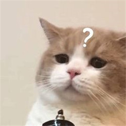 眼表眼角膜,?，斎鹨曆劭?上海眼科醫(yī)院