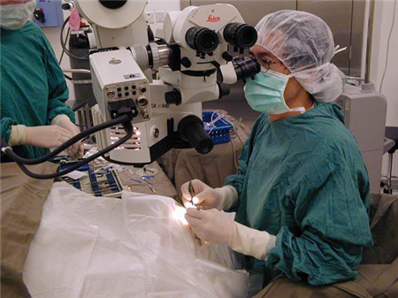 玻璃體視網膜,希瑪瑞視眼科,上海眼科醫院