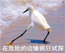 眼表眼角膜,希瑪瑞視眼科,上海眼科醫(yī)院 眼表眼角膜,希瑪瑞視眼科,上海眼科醫(yī)院