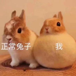 眼表眼角膜,希瑪瑞視眼科,上海眼科醫(yī)院 眼表眼角膜,希瑪瑞視眼科,上海眼科醫(yī)院