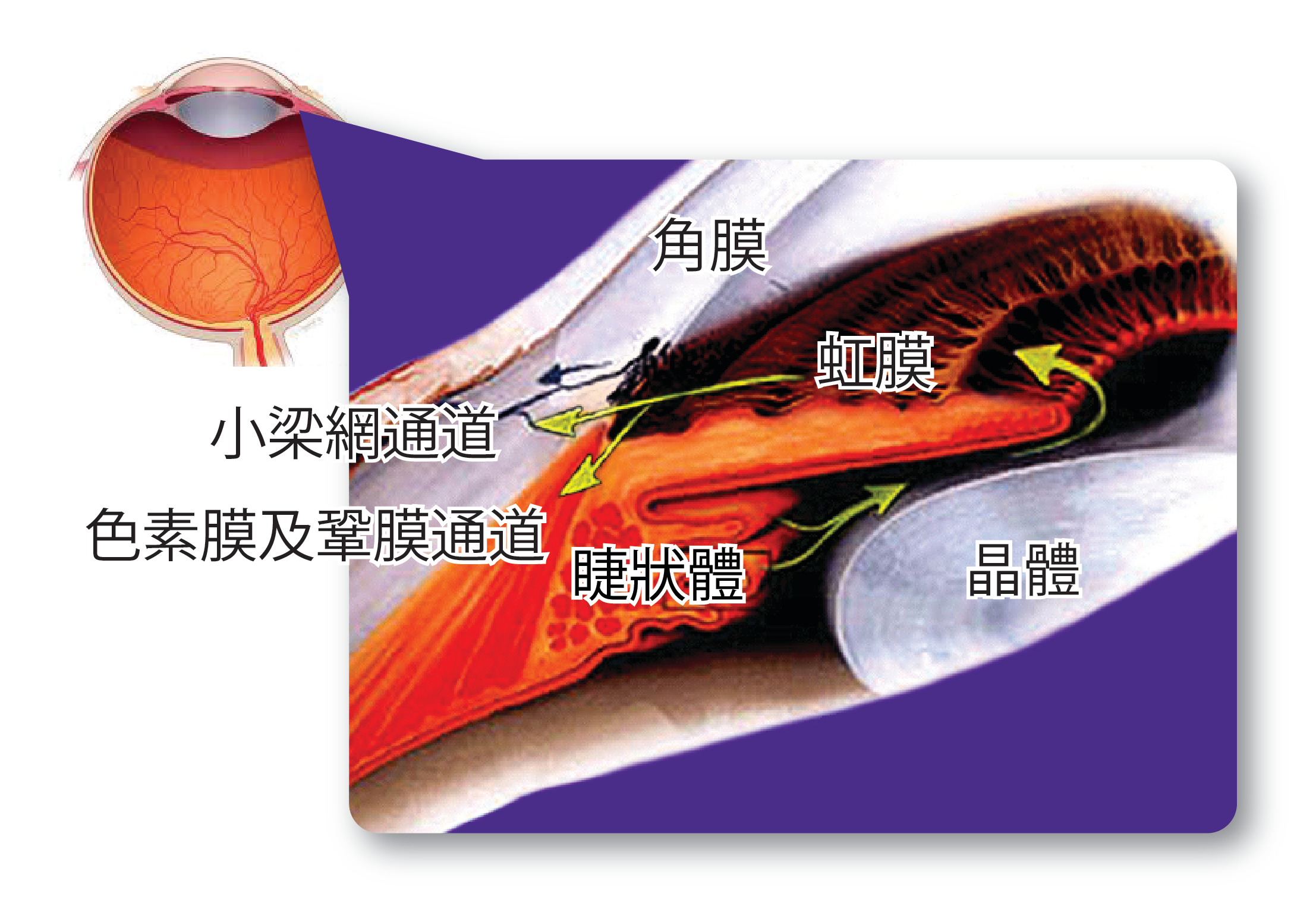 青光眼,?，斎鹨曆劭?上海眼科醫(yī)院